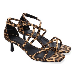 B-5099-Leopardo